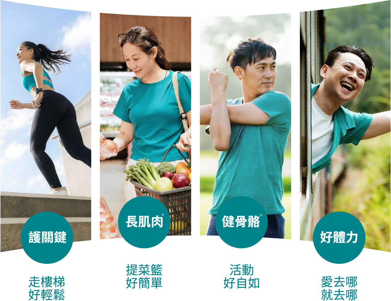 護關鍵 走路好輕鬆、長肌肉 提菜籃好簡單、健身骨 活動好自如、好體力 愛去哪就去哪