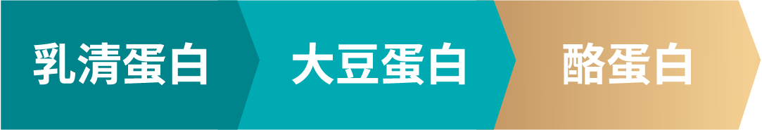 乳清蛋白 大豆蛋白 酪蛋白