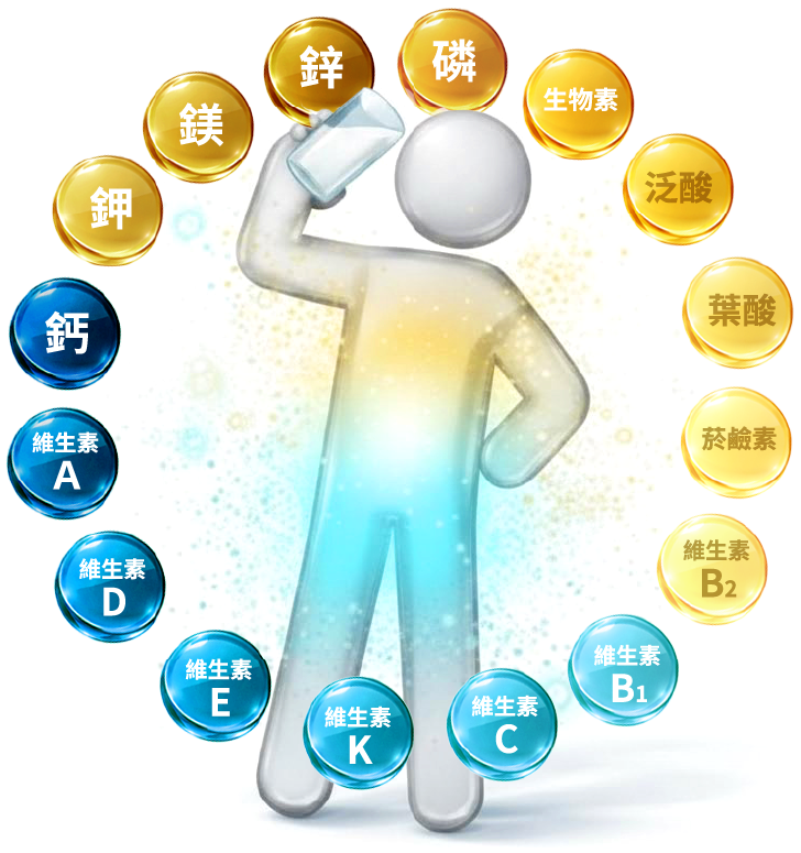 16種維生素礦物質